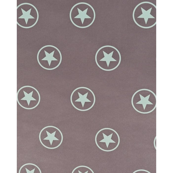 Soft Shell Étoiles-9756