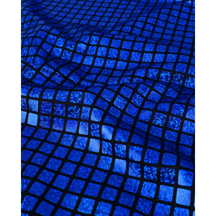 Check Hologram Foil 5658