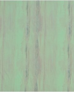 Digital Viscose Poplin 5716