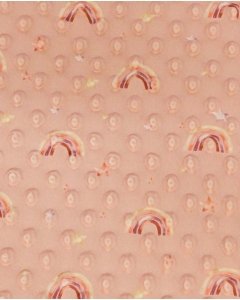 Minky dots digital little ones rainbow 6025