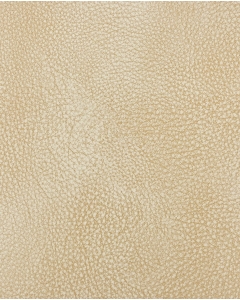 Cantara Leather Teddy 6113