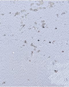 Sequin Shiny 5661