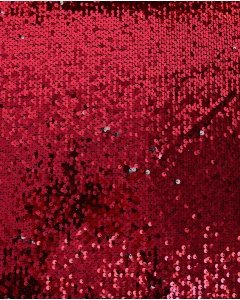 Sequin Shiny 5661