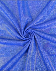 Holographic Lamé Jersey 6095