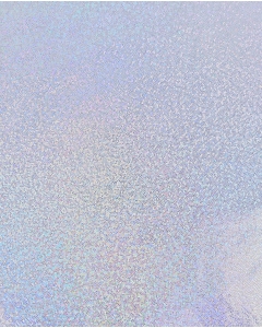 Holographic Lamé Jersey 6095