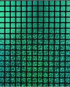 Check Hologram Foil 5658