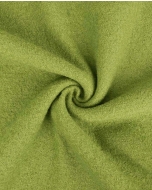 Boiled wool 4812