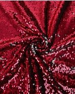 Sequin Shiny 5661