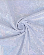 Holographic Lamé Jersey 6095