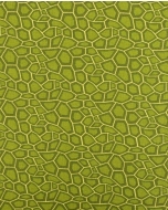 Poplin Turtle 90149