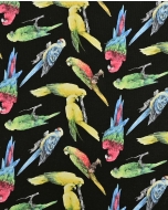 Jersey Parrot 90250